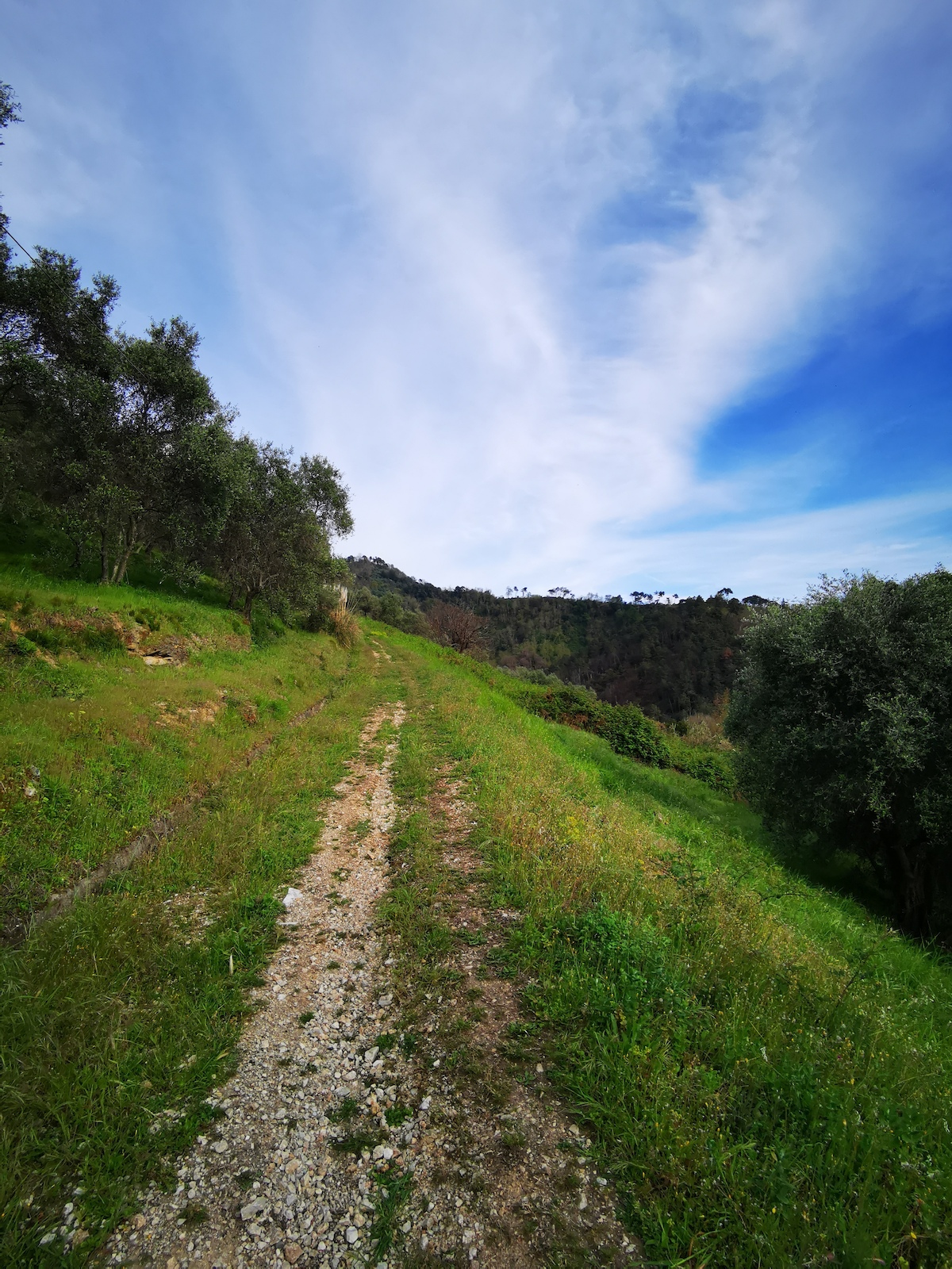 Trail Moneta